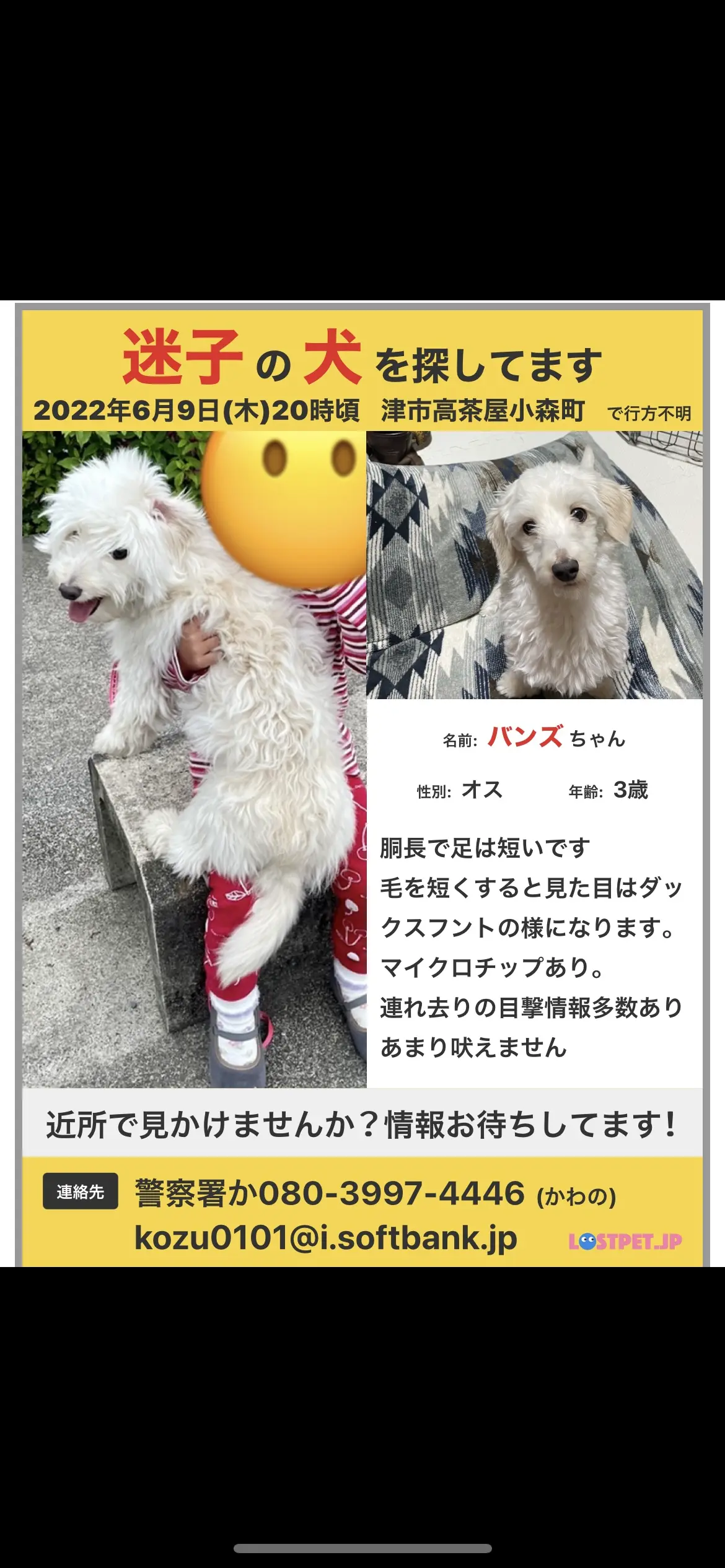 日本全国の迷子犬情報 64件 Searily 迷子ペットの掲示板