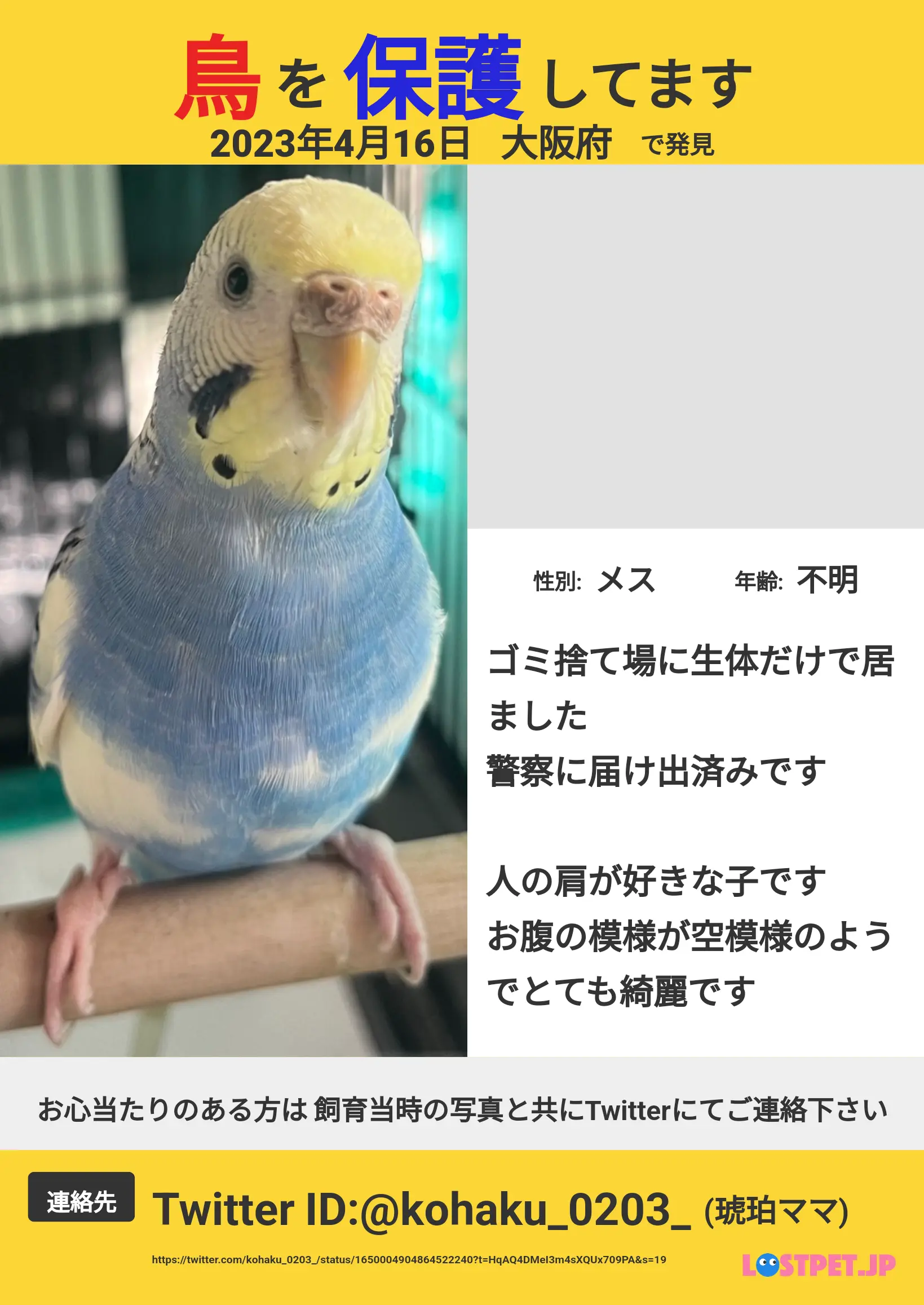 迷子ペットの写真