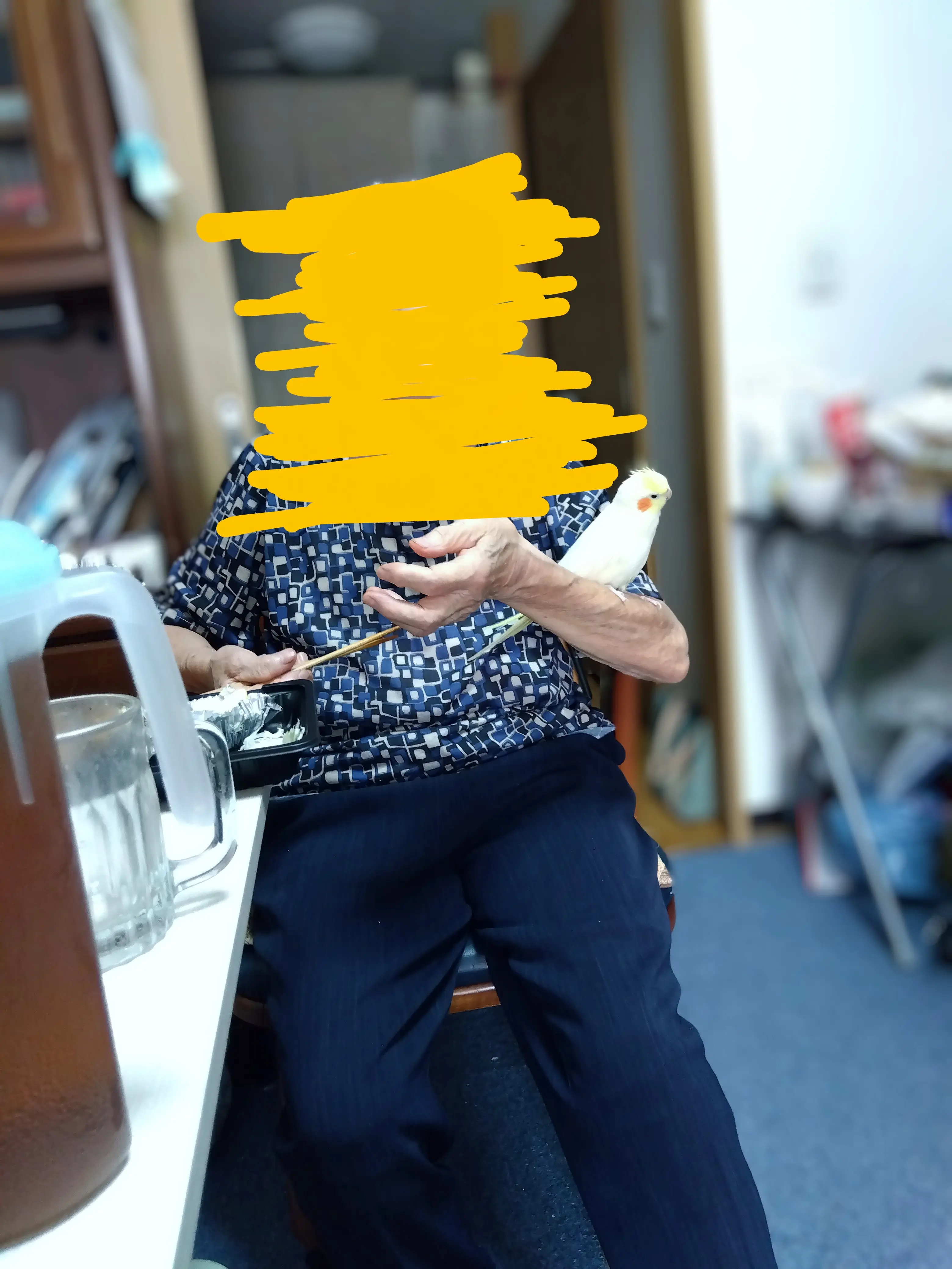 迷子ペットの写真