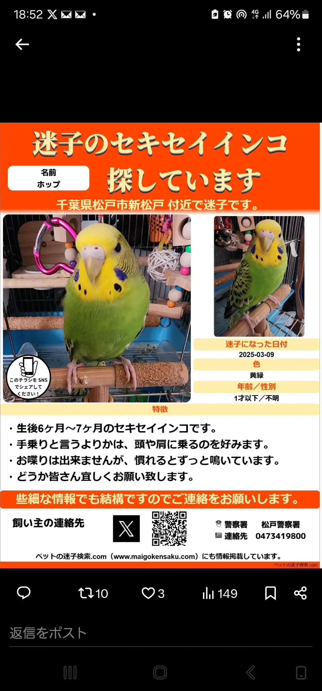 迷子ペットの写真