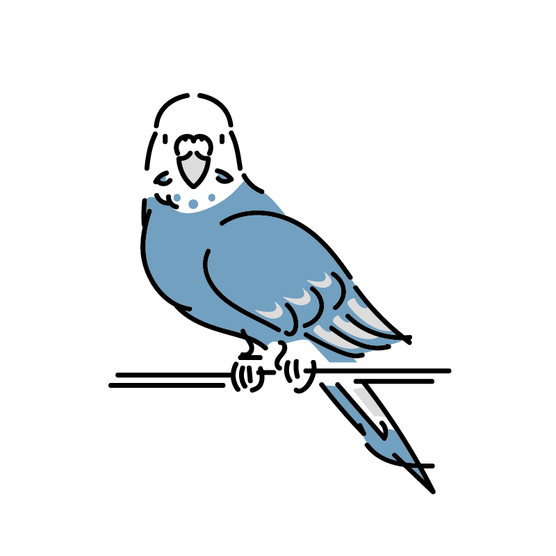 迷子鳥